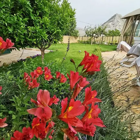 Mater - Luxuriously Equipped With A 15m Long Swimming Pool * Žrnovnica